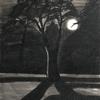 Tree and moon